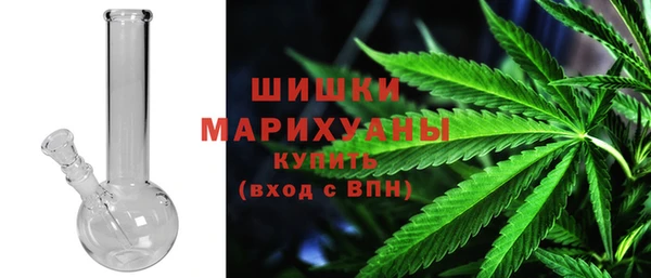 индика Лиски
