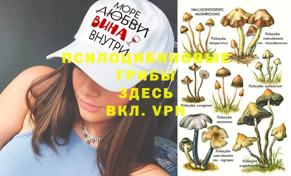 МДПВ Лихославль
