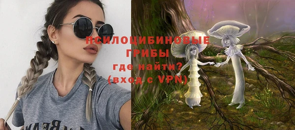 индика Лиски
