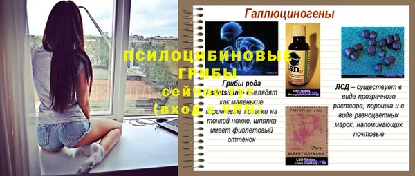 индика Лиски