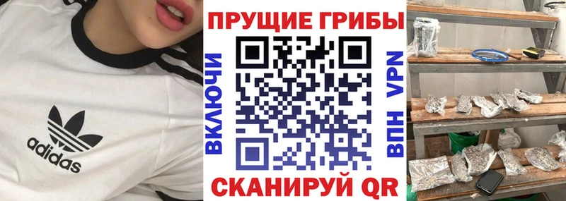 Галлюциногенные грибы прущие грибы  hydra tor  Медвежьегорск 
